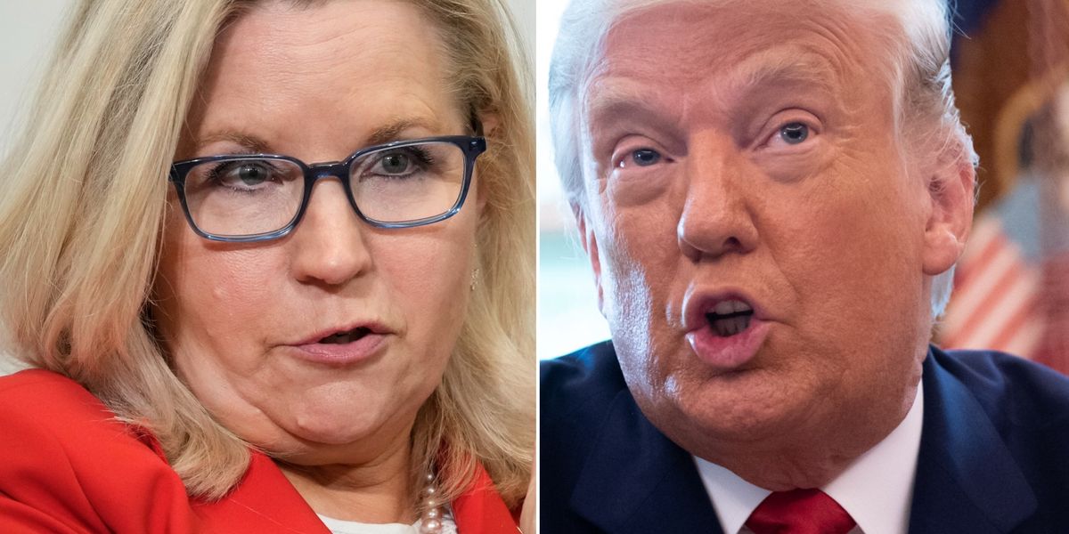 Donald trump liz cheney