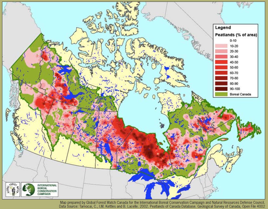 Canada boreal forest logging