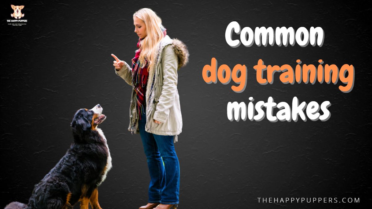 Dog training culture wars