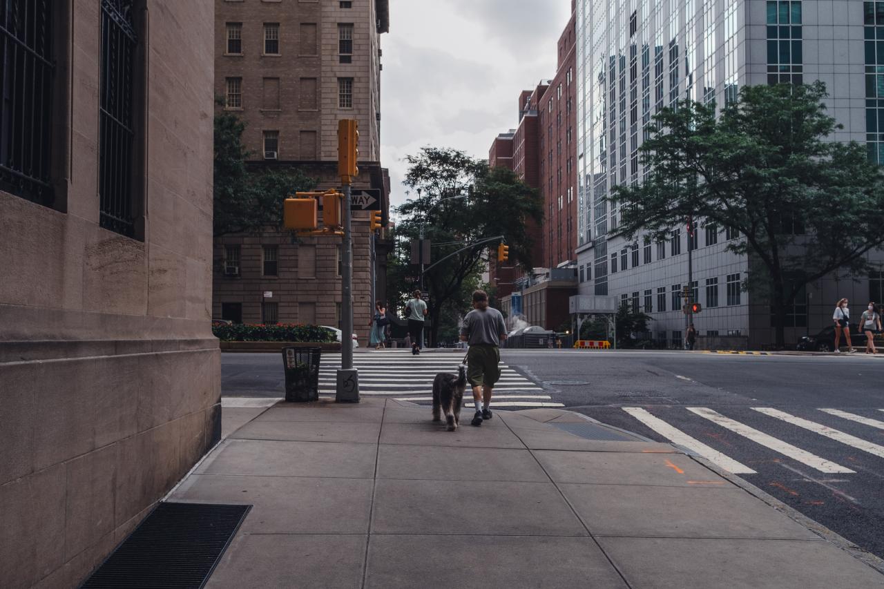 The upper east side is for restaurant lovers
