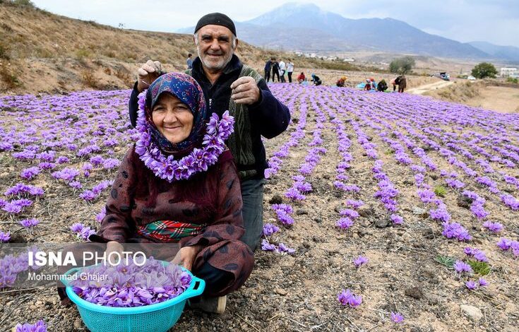 Frankreich reuters maschinen ancestral farming arbeitet bauer happiness bernard mahe stephane