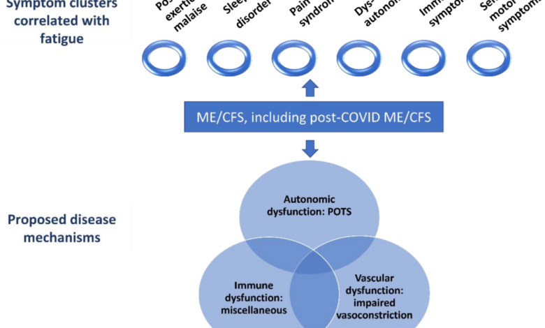 Chronic fatigue syndrome long covid