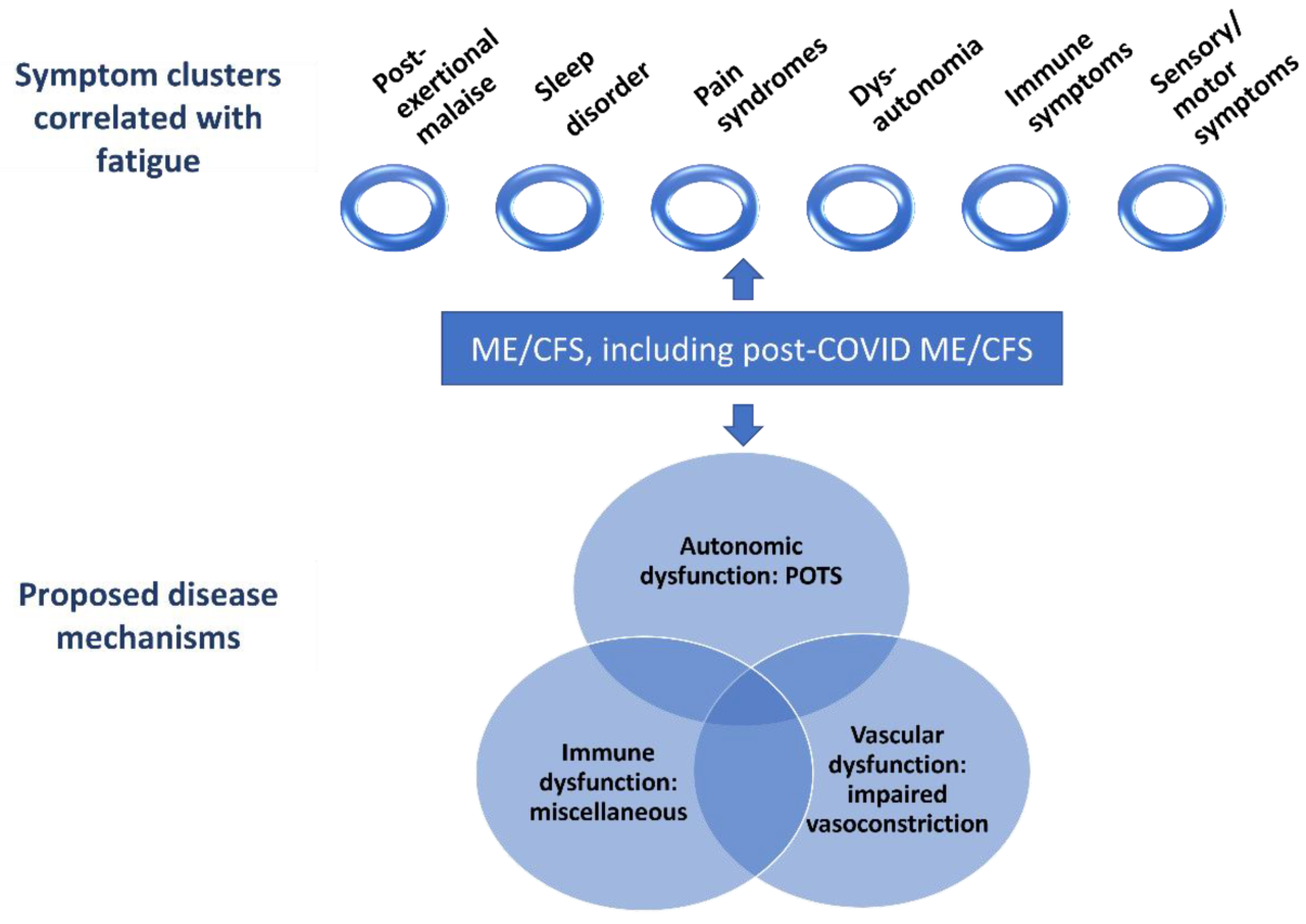 Chronic fatigue syndrome long covid