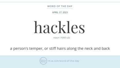 Word of the day klaxon