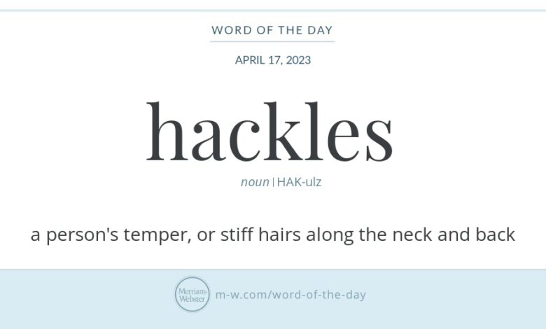 Word of the day klaxon