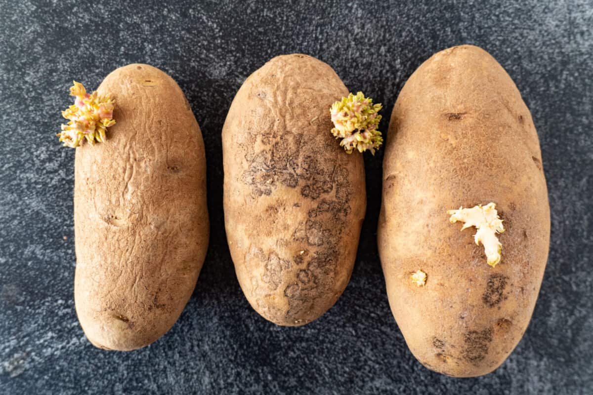 These are superior potatoes