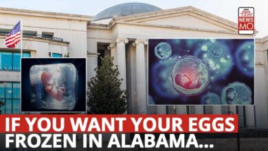 Embryo shipping alabama ivf