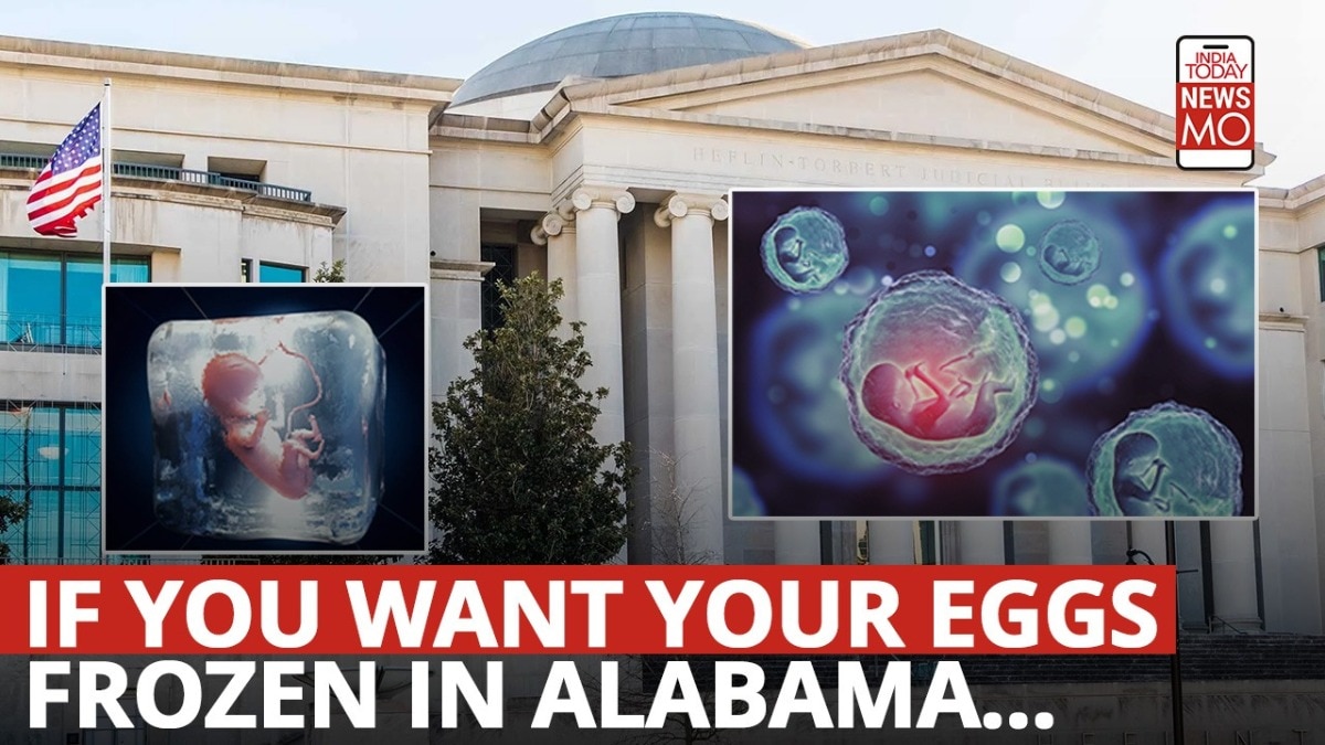 Embryo shipping alabama ivf