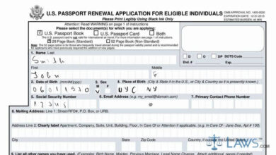 Us passport renewal application