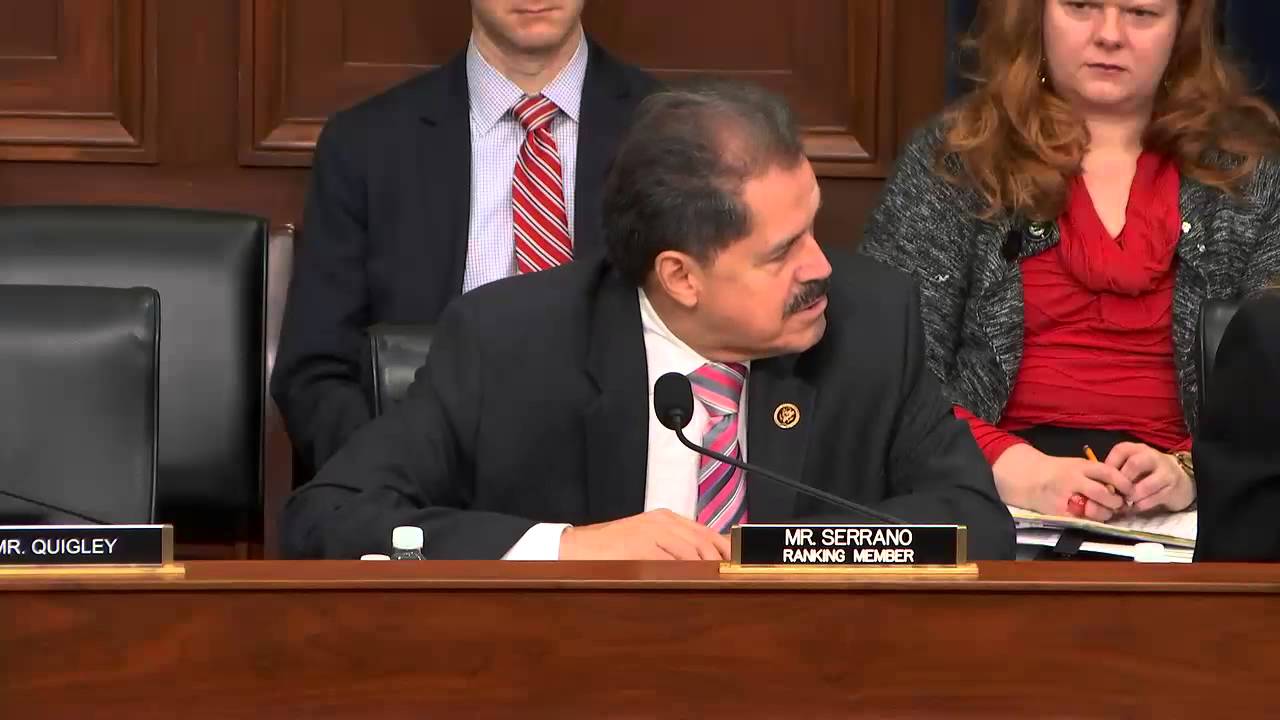 Internal revenue service budget cuts hearing