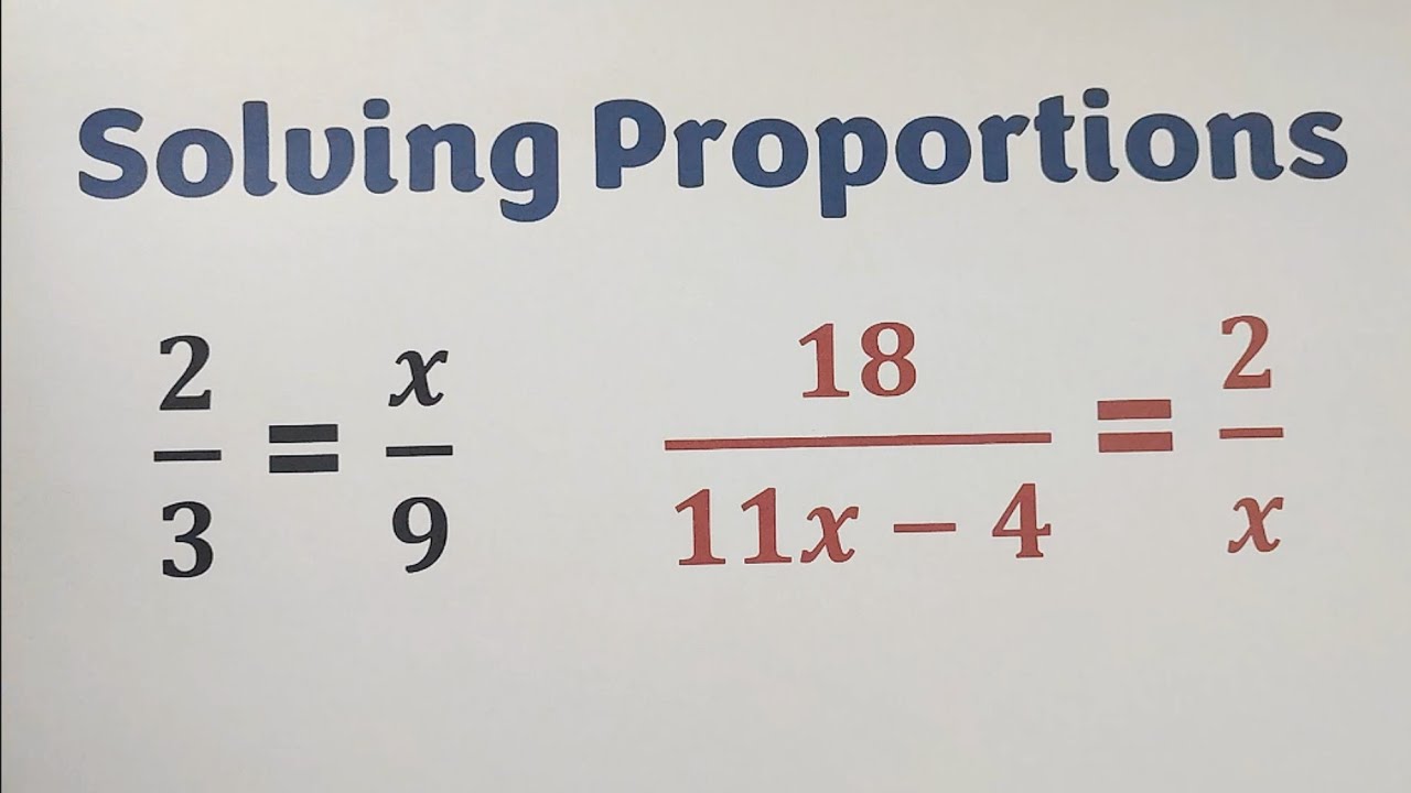 Word of the day proportionate