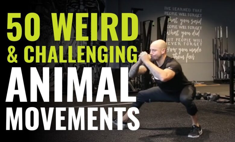 Animal flow movement exercises