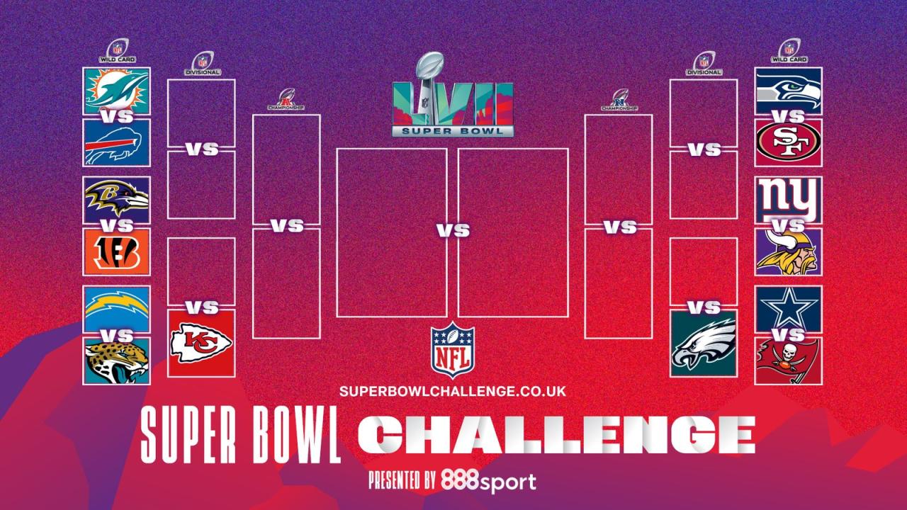 Super bowl nfl profit