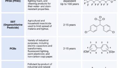 Pfas forever chemicals north carolina