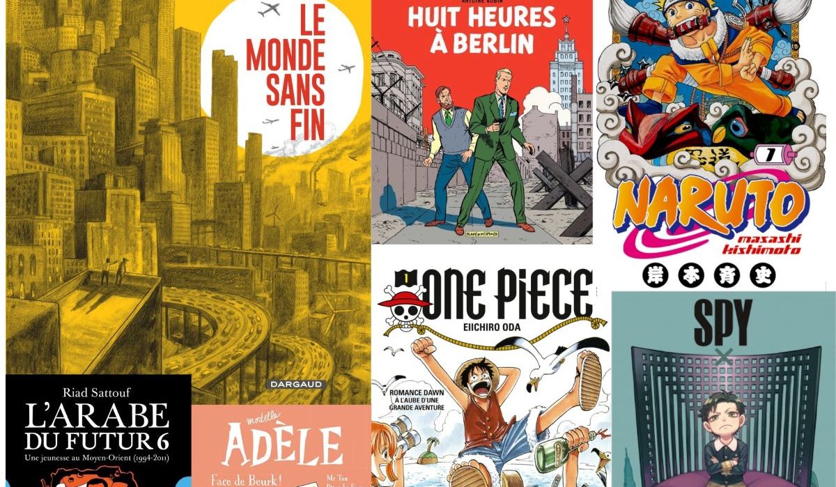 French nonfiction comic books