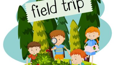 Trip we frenzy 4th grade fossils could found take cool part was