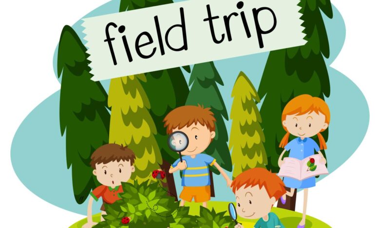 Trip we frenzy 4th grade fossils could found take cool part was