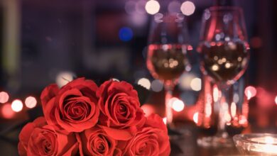 Navy Pier Valentine's Day events for couples