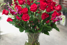 Flowers environment valentines day