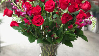 Flowers environment valentines day