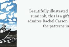 Rachel carson nikki mcclure something about the sky