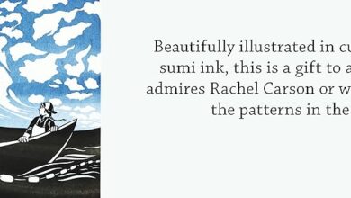 Rachel carson nikki mcclure something about the sky