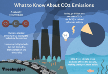 Carbon dioxide bad why co2 emissions climate affect treehugger chart crisis hilary allison illustration