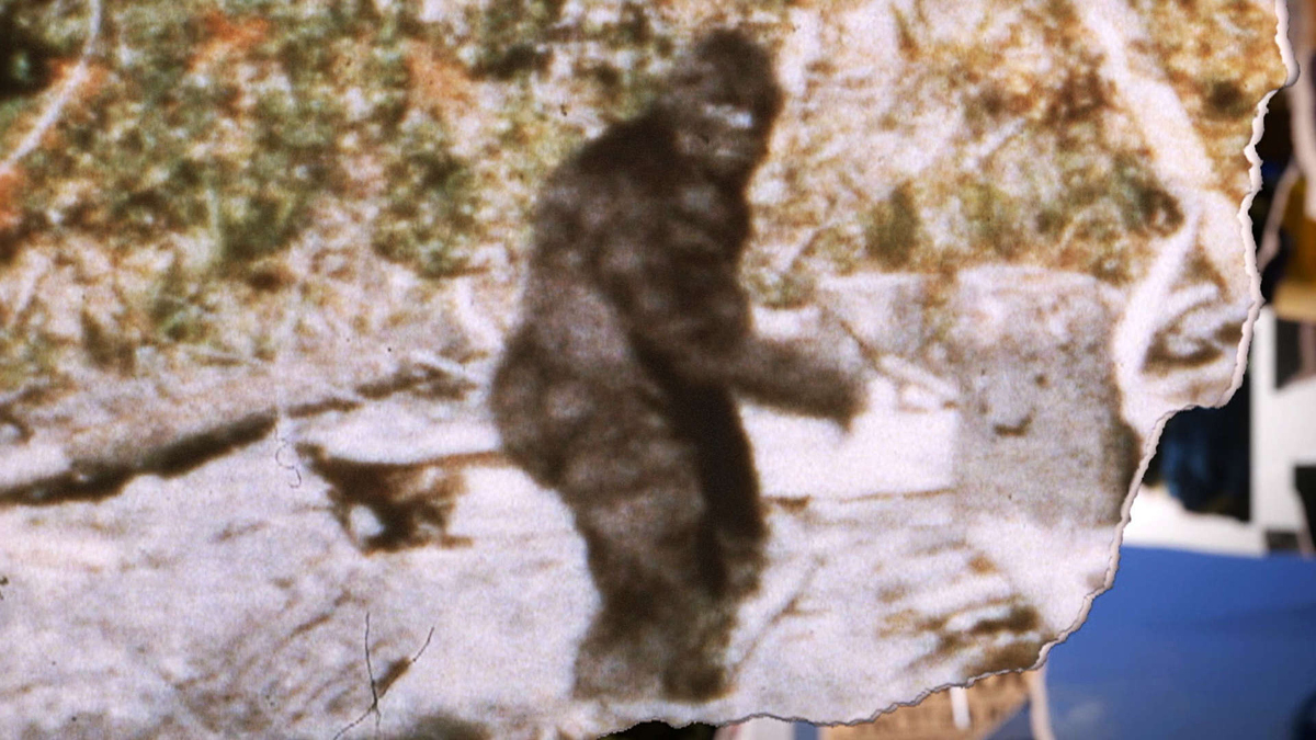 The secret history of bigfoot john oconnor
