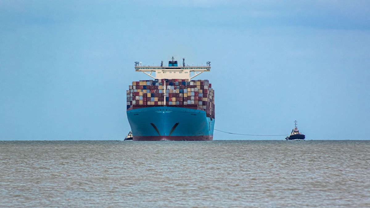 Red sea shipping companies cost