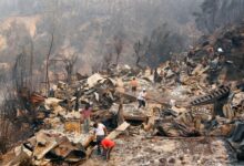 Incendios forestales chile jardin botanico