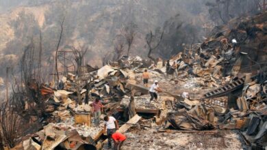 Incendios forestales chile jardin botanico