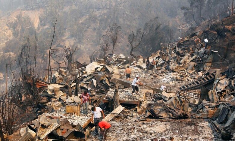Incendios forestales chile jardin botanico