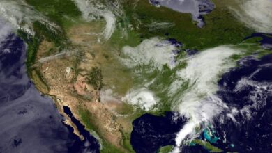 Weather forecasters new york